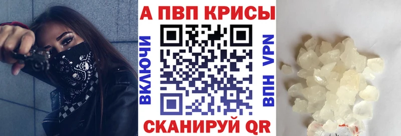 цены omg как зайти A PVP СК Сенгилей