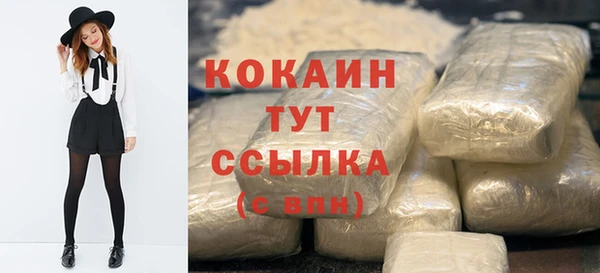 spice Аркадак