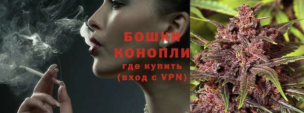 spice Аркадак