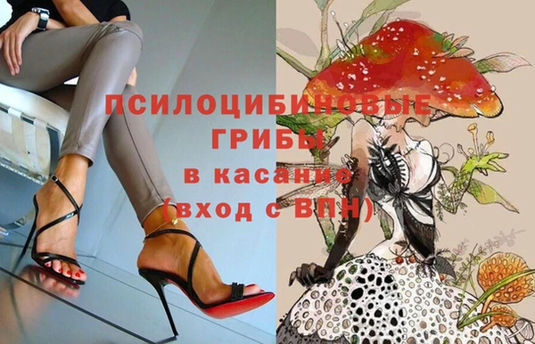 каннабис Арсеньев