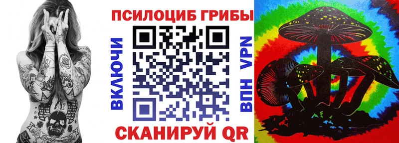 кракен рабочий сайт  наркошоп  Сенгилей  Галлюциногенные грибы Psilocybine cubensis 